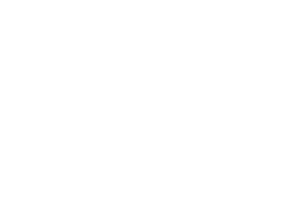 Max Estates
